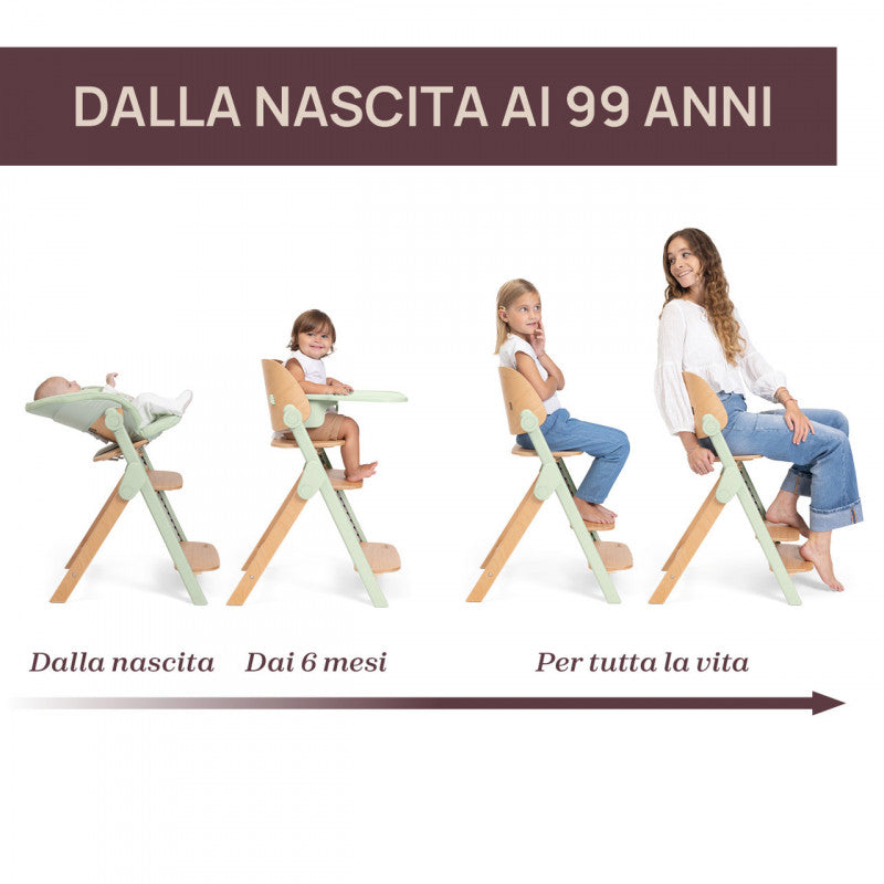 Chicco Meraviglia Fossil Highchair