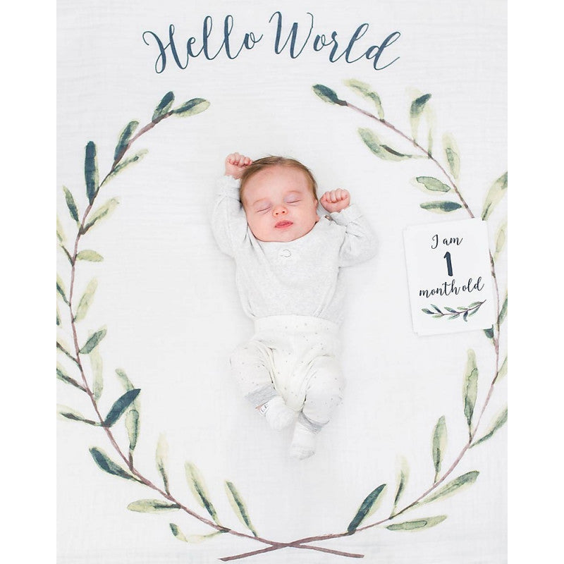 Portada Primer Año - Hello World