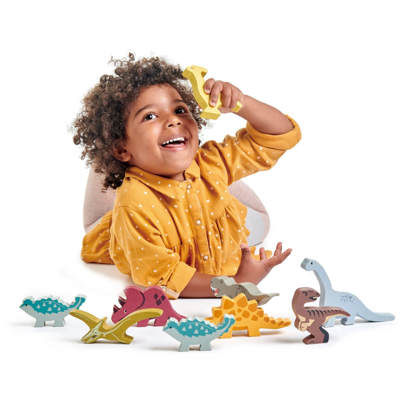 Set Completo Dinosaurios