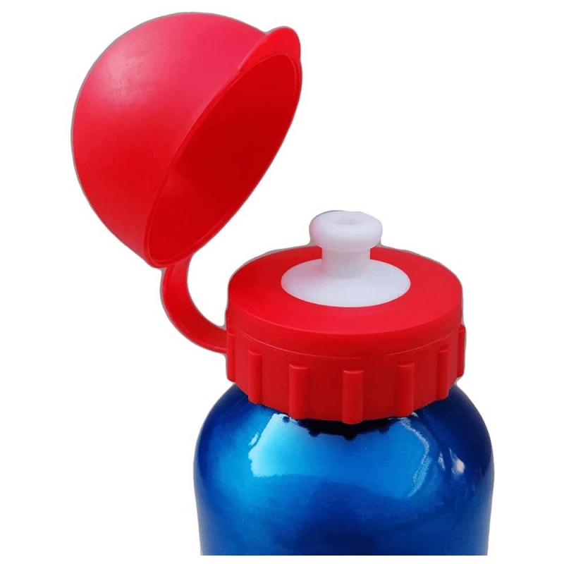 Mario Bros Water Bottle