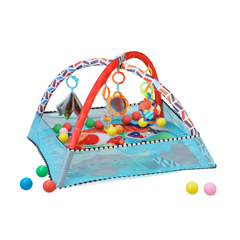 Gimnasio con Pelotas - Sabana